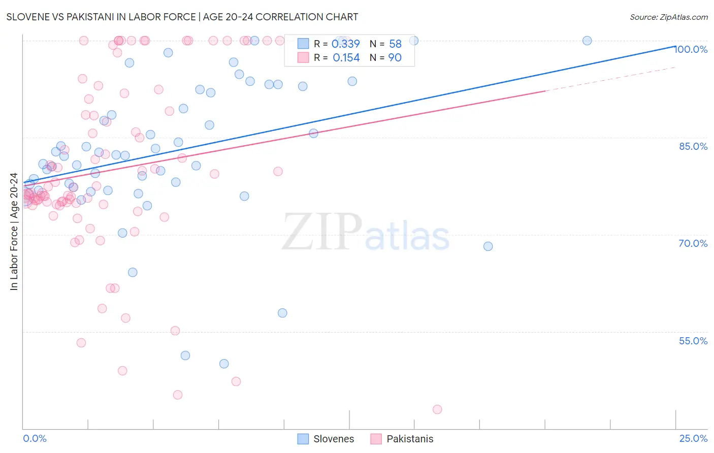 Slovene vs Pakistani In Labor Force | Age 20-24