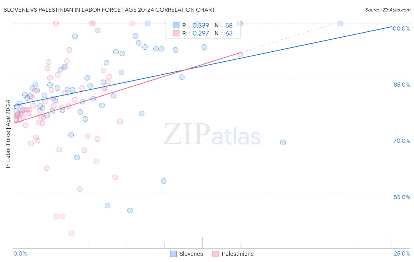 Slovene vs Palestinian In Labor Force | Age 20-24