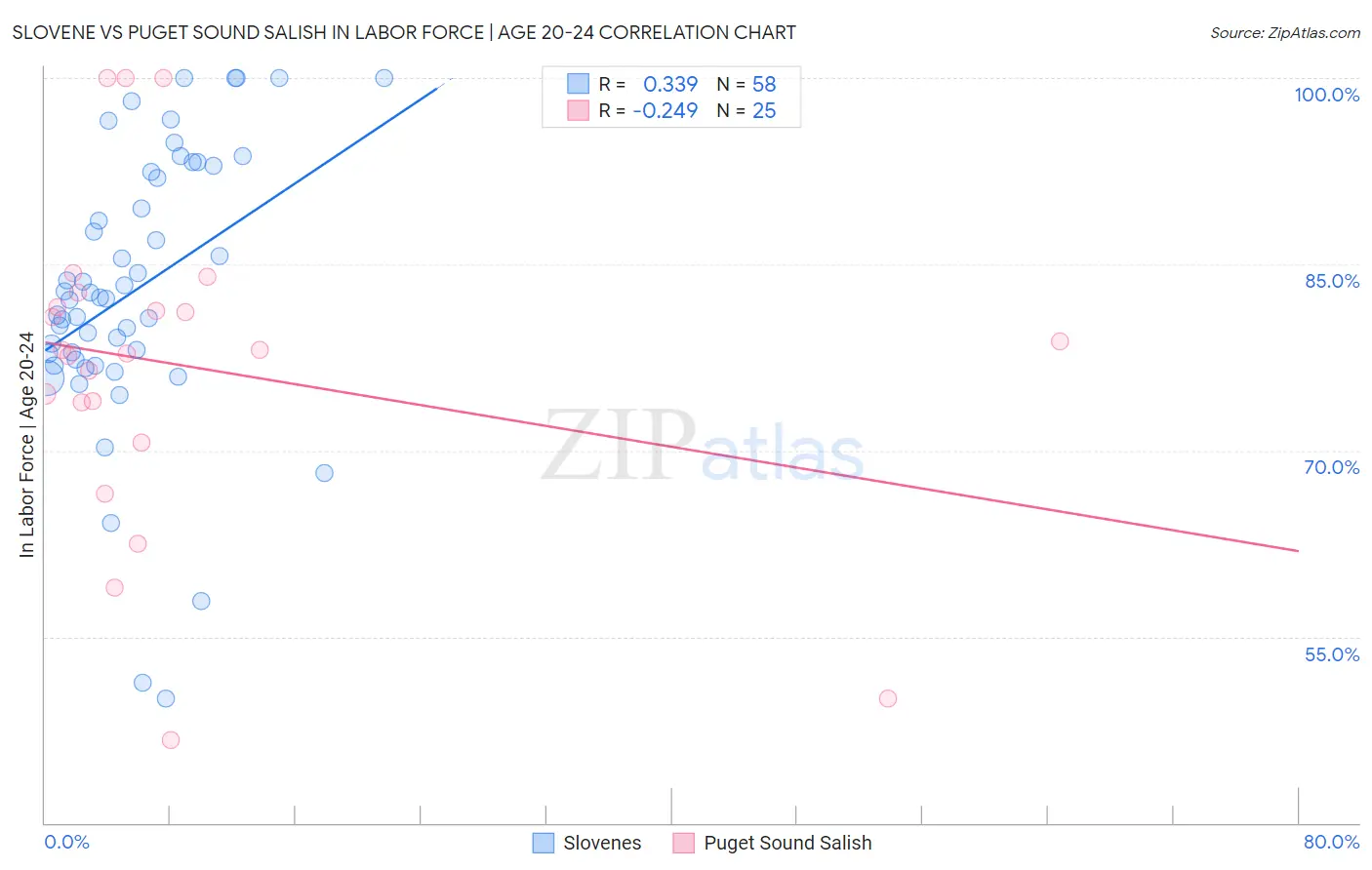 Slovene vs Puget Sound Salish In Labor Force | Age 20-24
