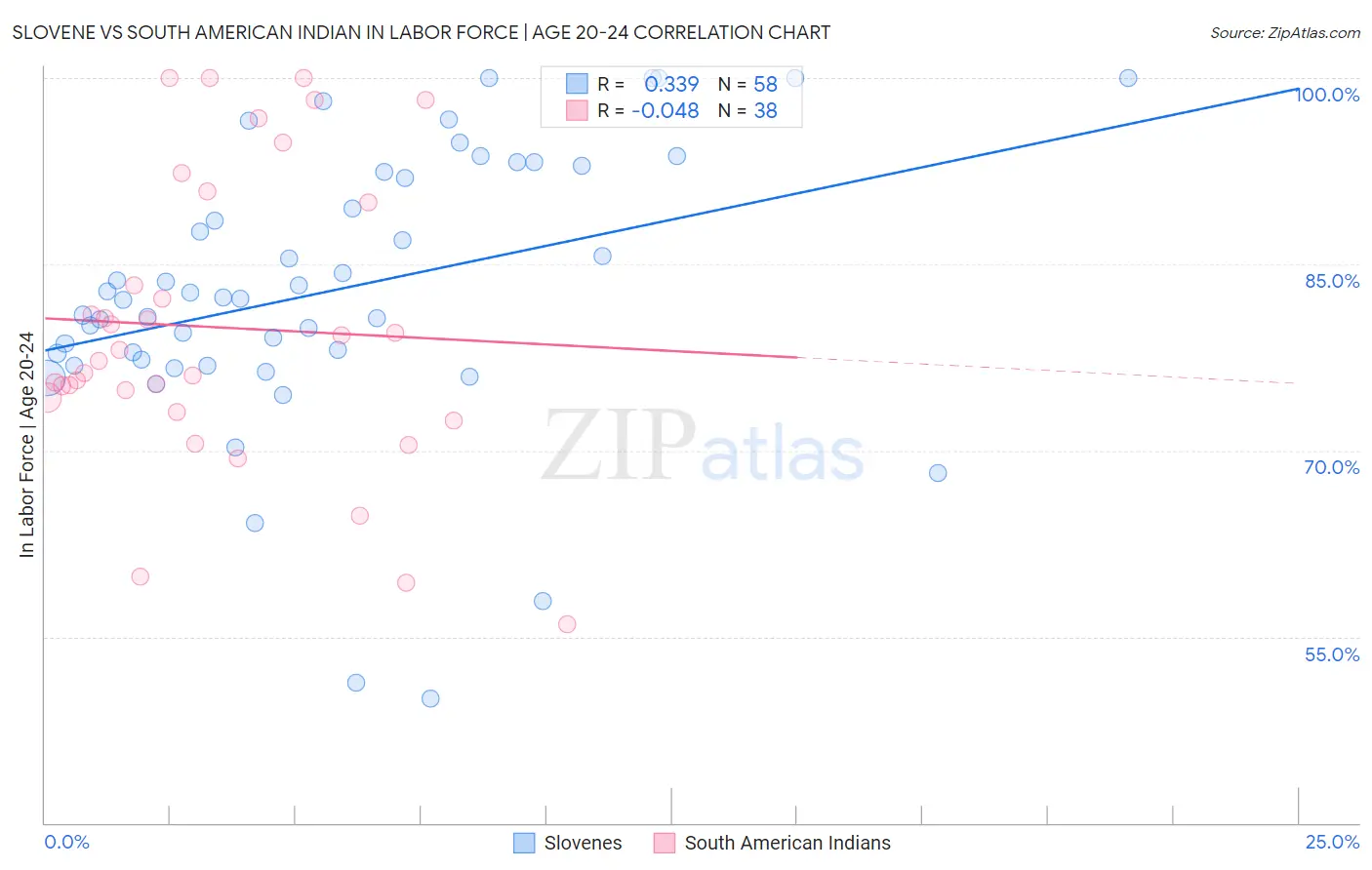 Slovene vs South American Indian In Labor Force | Age 20-24