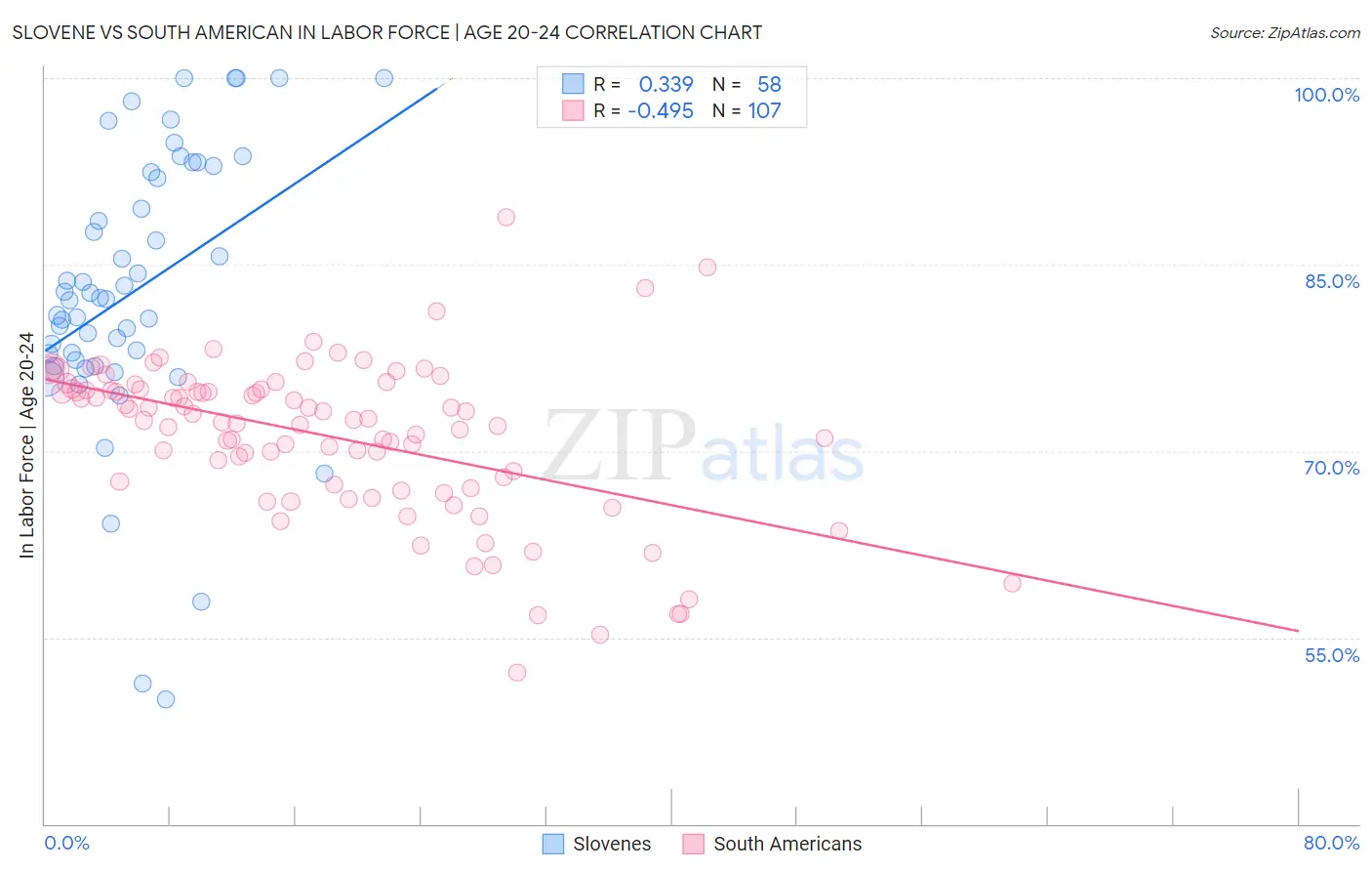 Slovene vs South American In Labor Force | Age 20-24