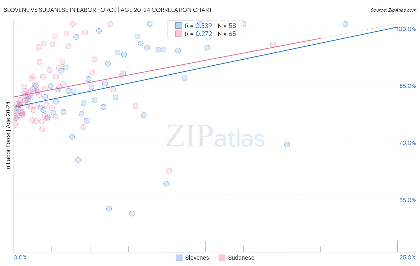Slovene vs Sudanese In Labor Force | Age 20-24