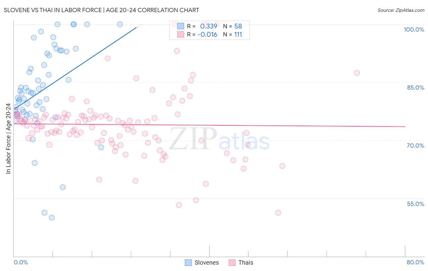 Slovene vs Thai In Labor Force | Age 20-24