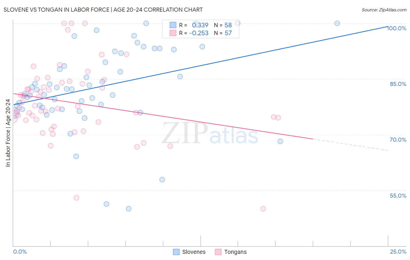 Slovene vs Tongan In Labor Force | Age 20-24