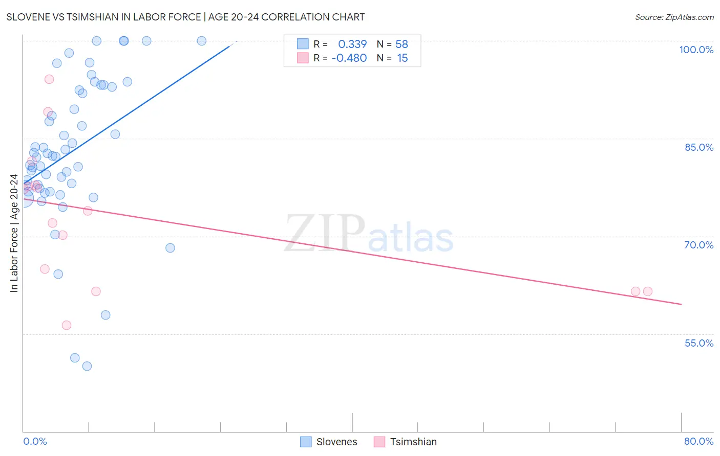 Slovene vs Tsimshian In Labor Force | Age 20-24