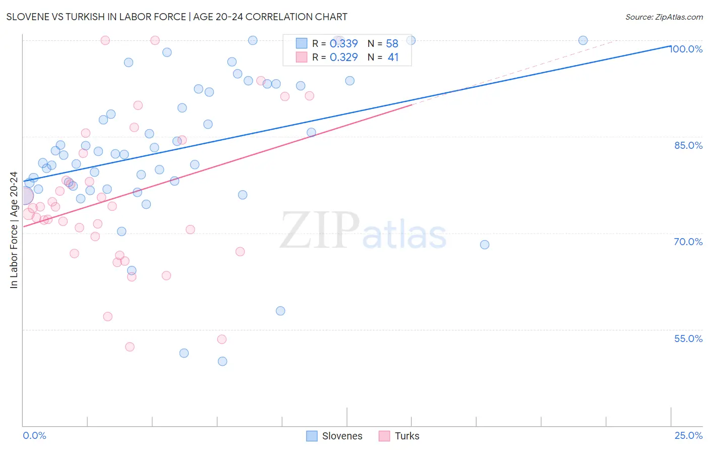 Slovene vs Turkish In Labor Force | Age 20-24