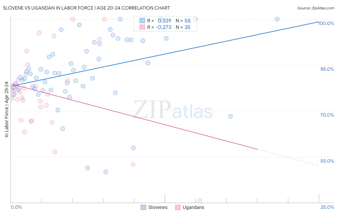 Slovene vs Ugandan In Labor Force | Age 20-24