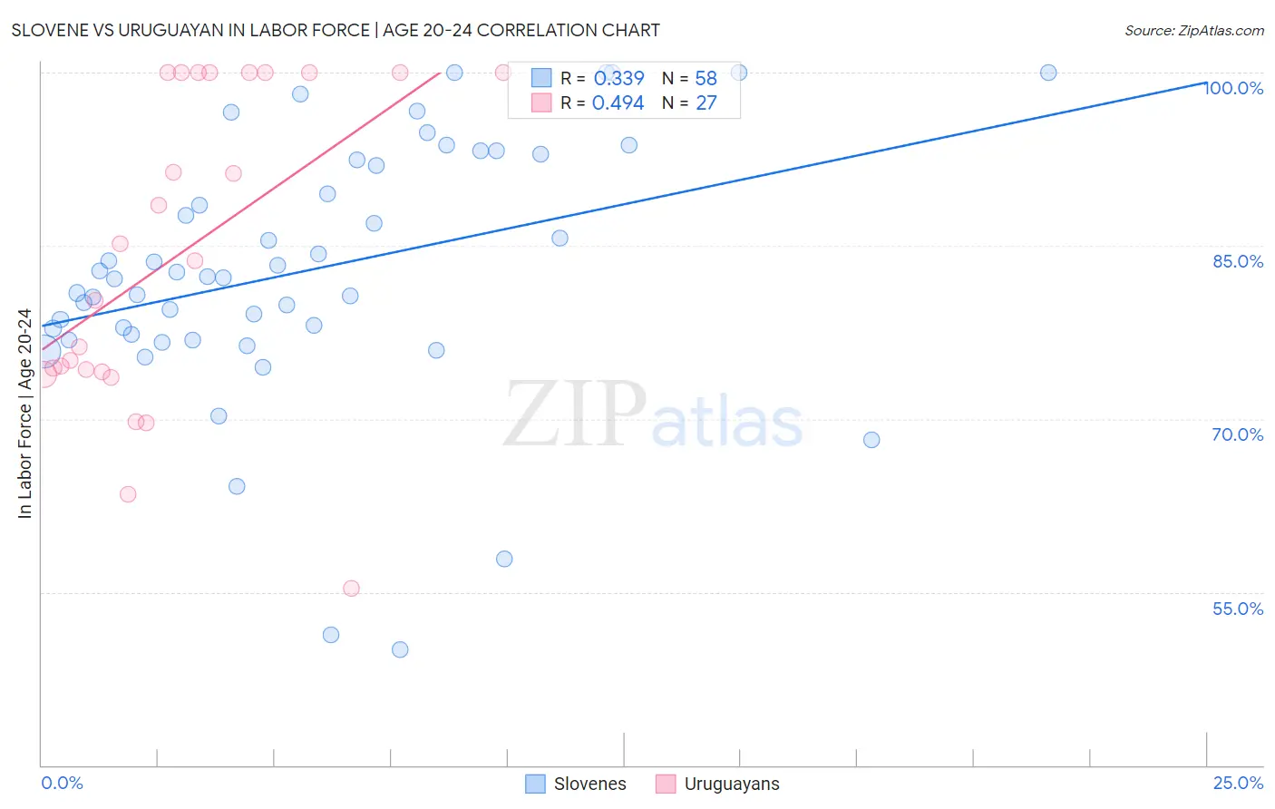 Slovene vs Uruguayan In Labor Force | Age 20-24