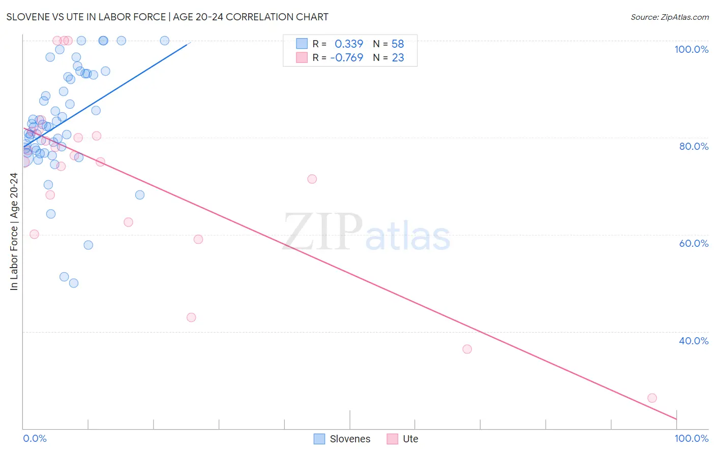 Slovene vs Ute In Labor Force | Age 20-24