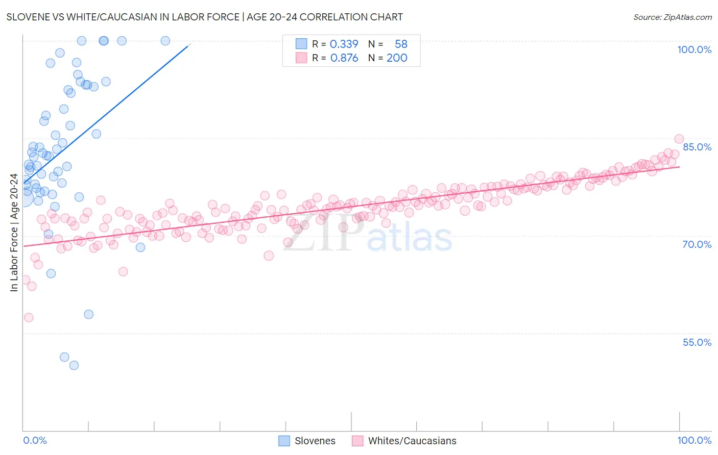 Slovene vs White/Caucasian In Labor Force | Age 20-24