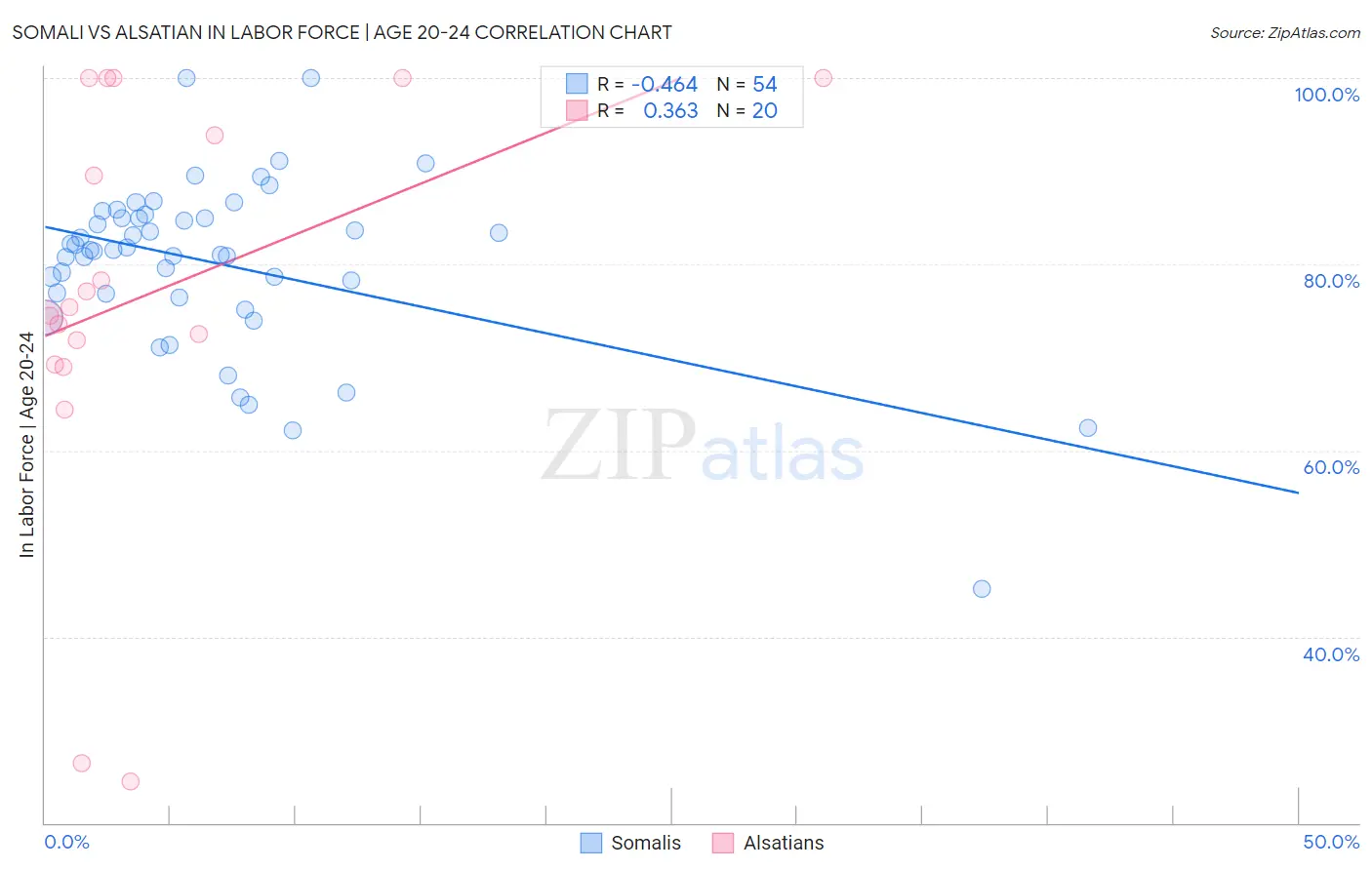 Somali vs Alsatian In Labor Force | Age 20-24