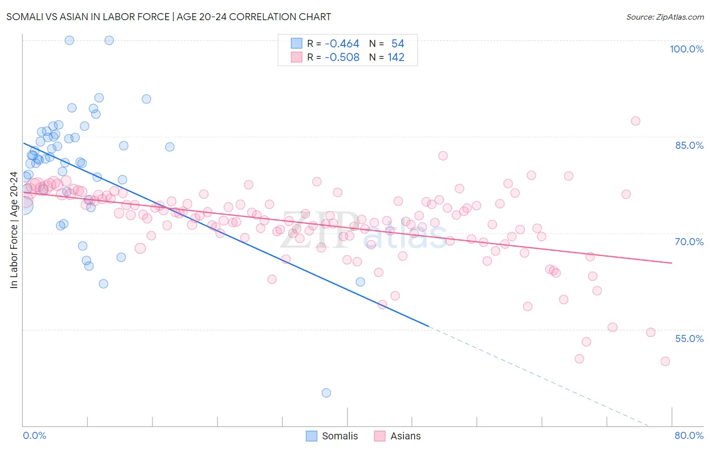Somali vs Asian In Labor Force | Age 20-24
