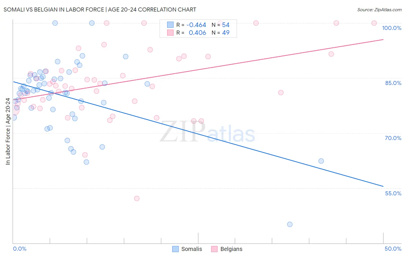 Somali vs Belgian In Labor Force | Age 20-24