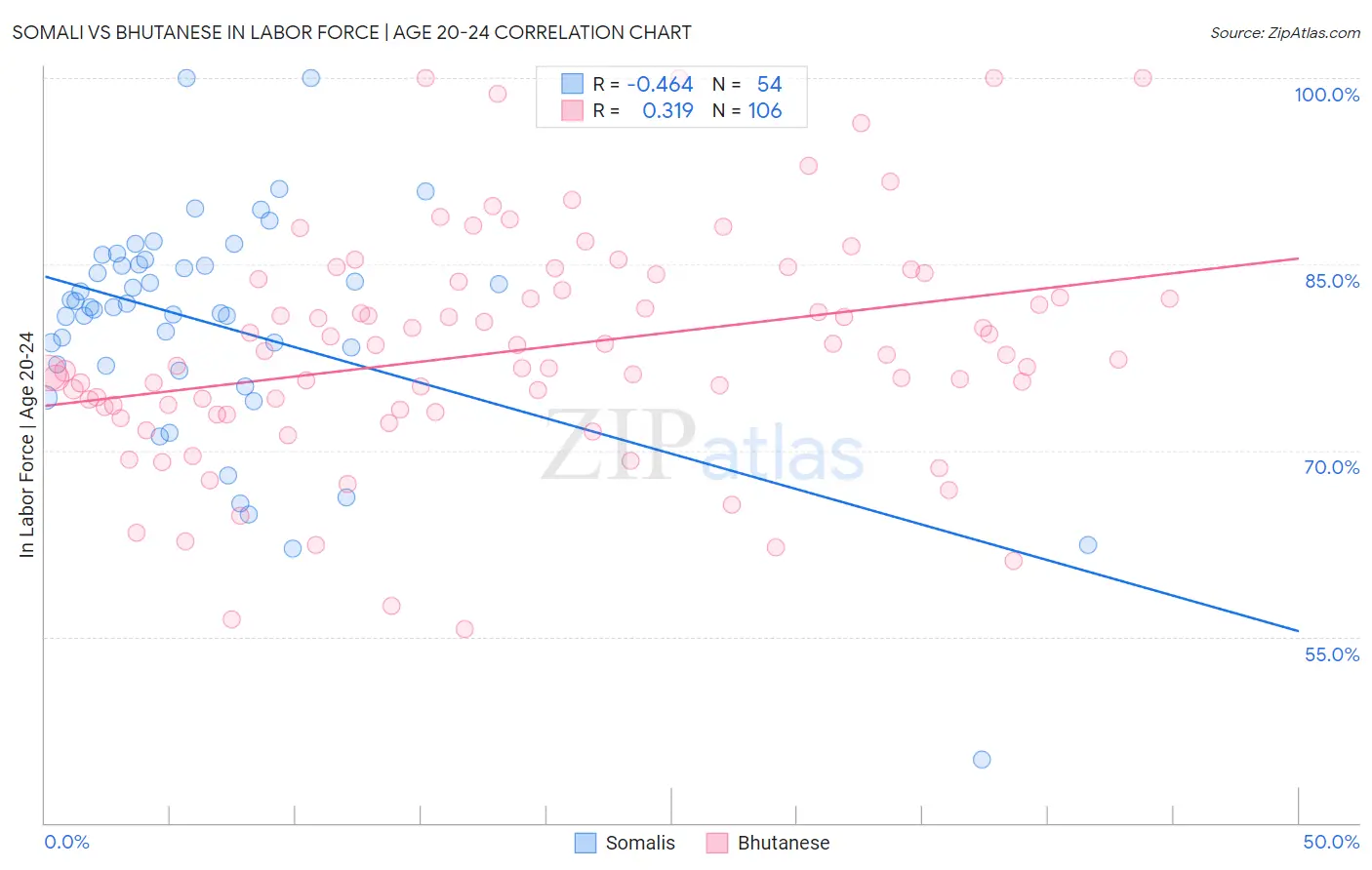 Somali vs Bhutanese In Labor Force | Age 20-24