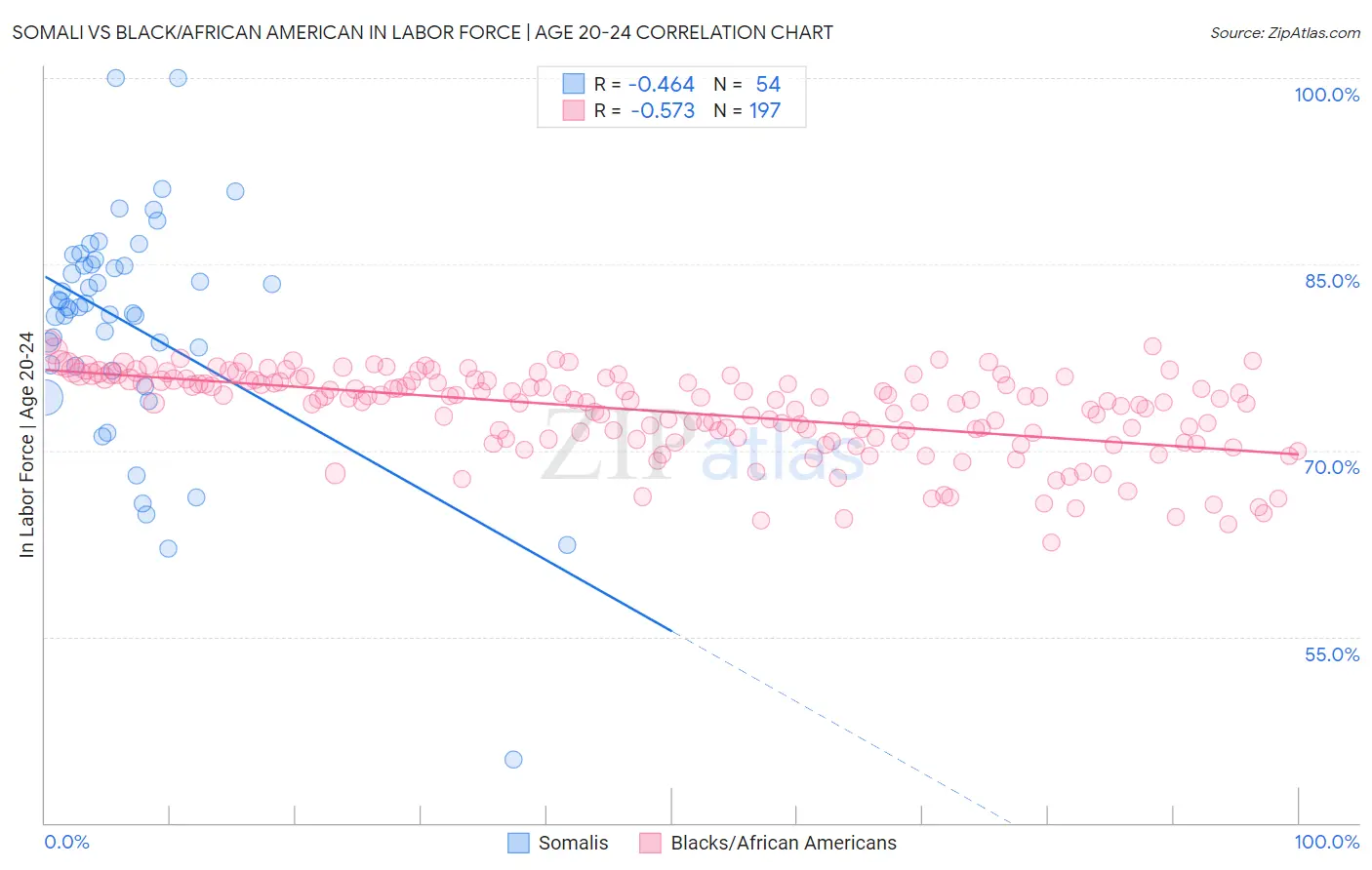 Somali vs Black/African American In Labor Force | Age 20-24
