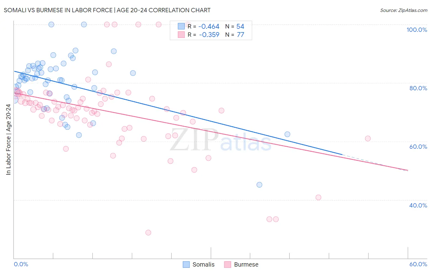 Somali vs Burmese In Labor Force | Age 20-24
