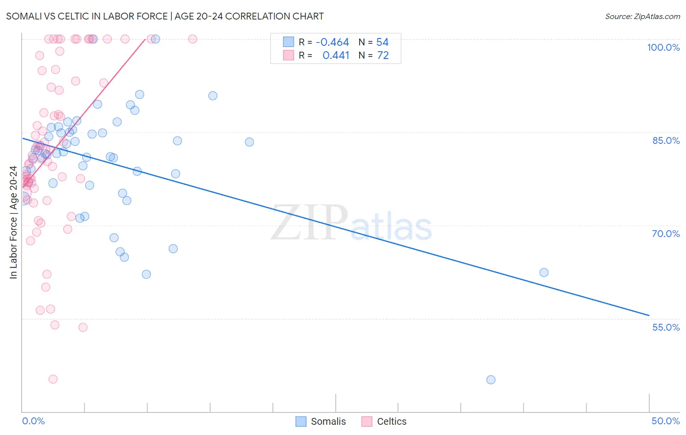 Somali vs Celtic In Labor Force | Age 20-24