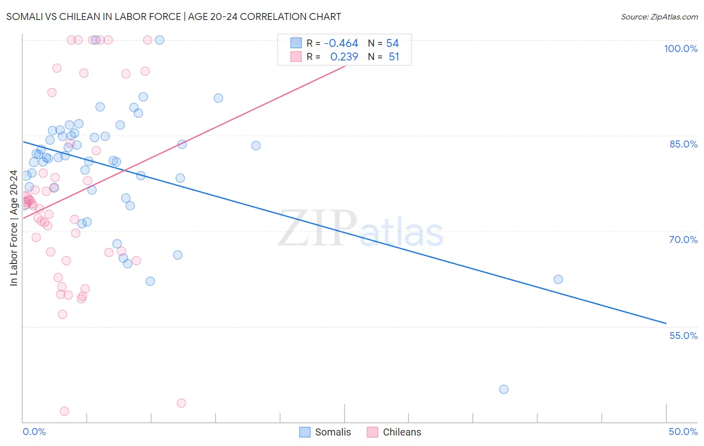 Somali vs Chilean In Labor Force | Age 20-24