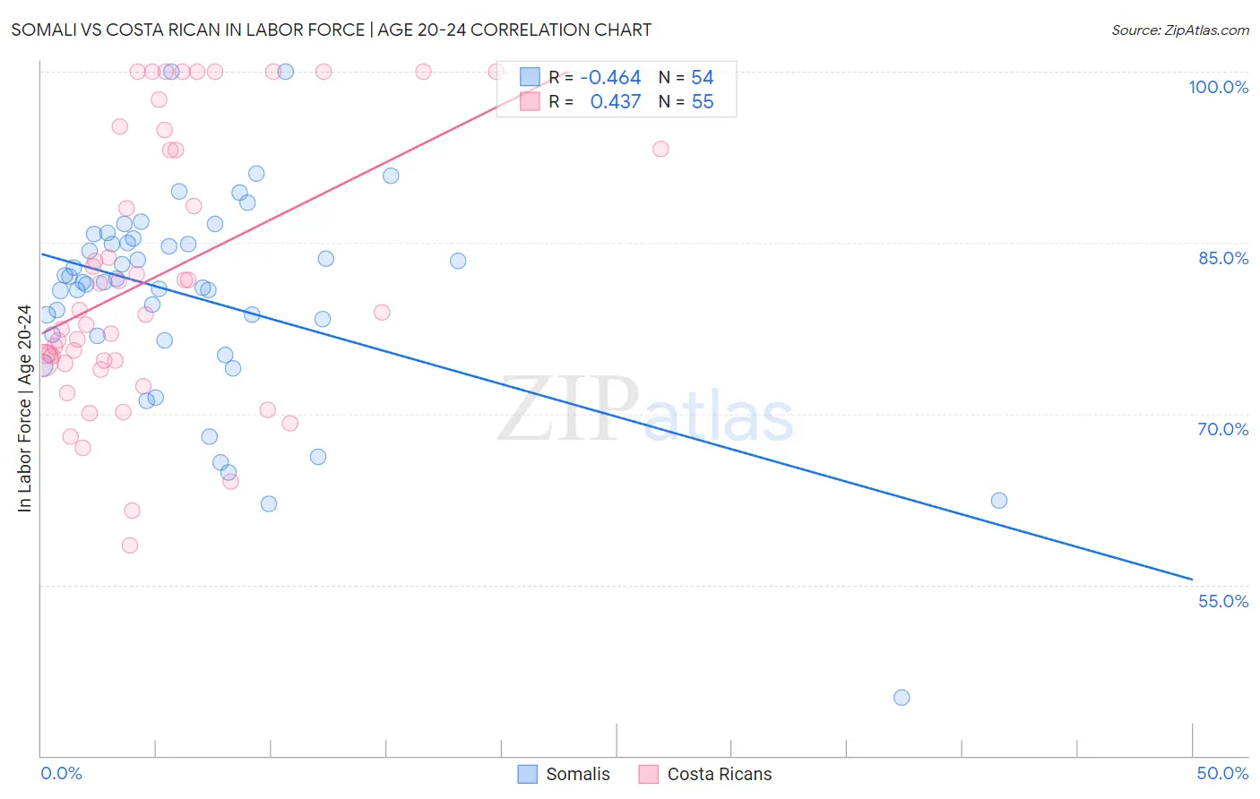 Somali vs Costa Rican In Labor Force | Age 20-24