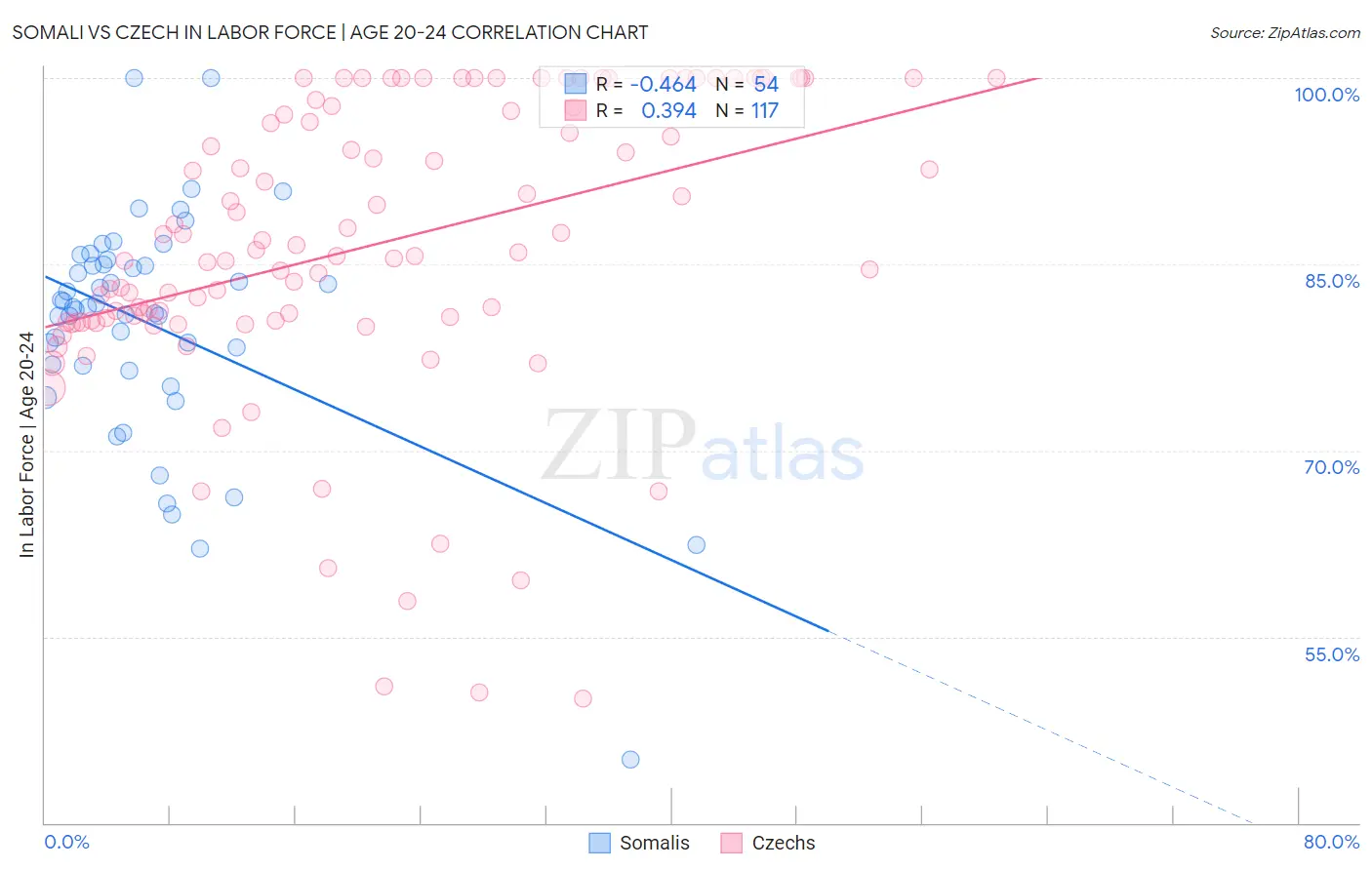 Somali vs Czech In Labor Force | Age 20-24