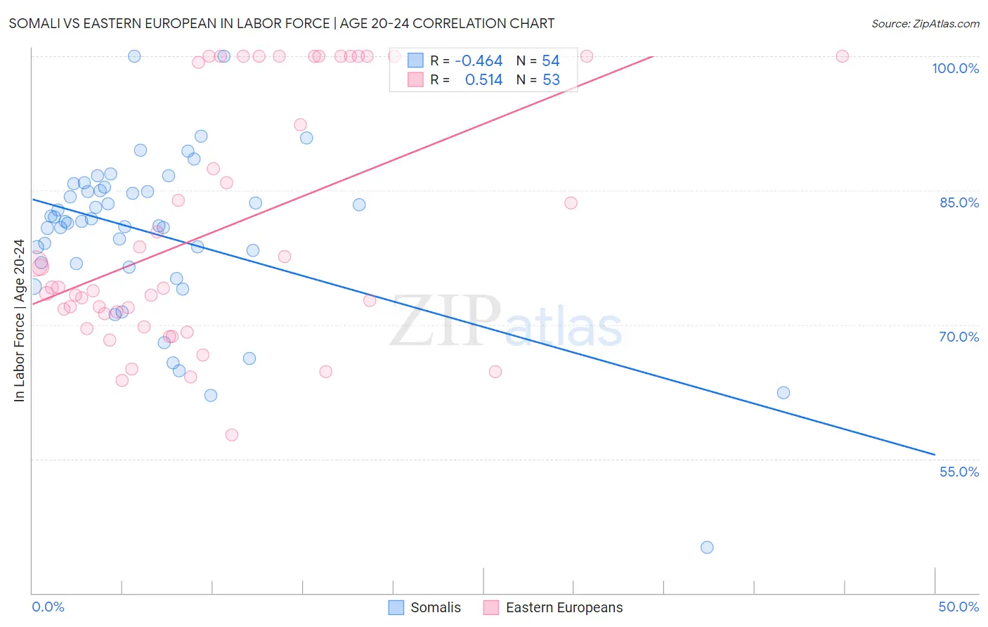 Somali vs Eastern European In Labor Force | Age 20-24