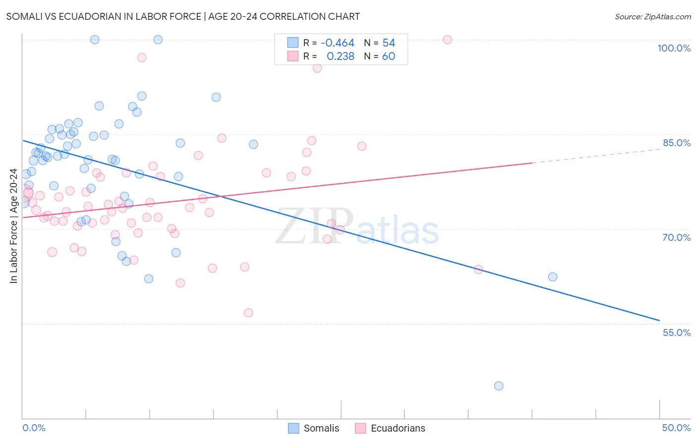 Somali vs Ecuadorian In Labor Force | Age 20-24