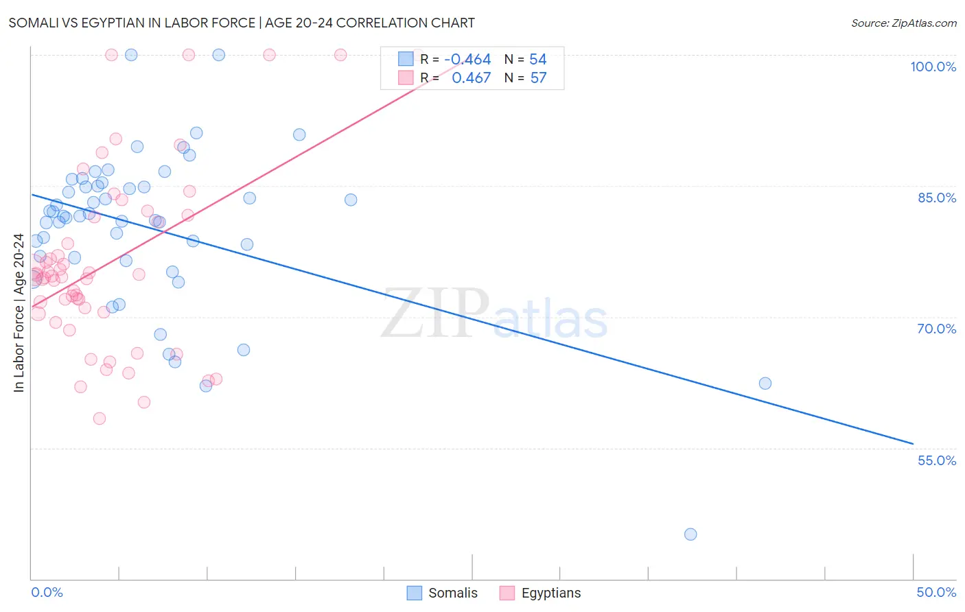 Somali vs Egyptian In Labor Force | Age 20-24