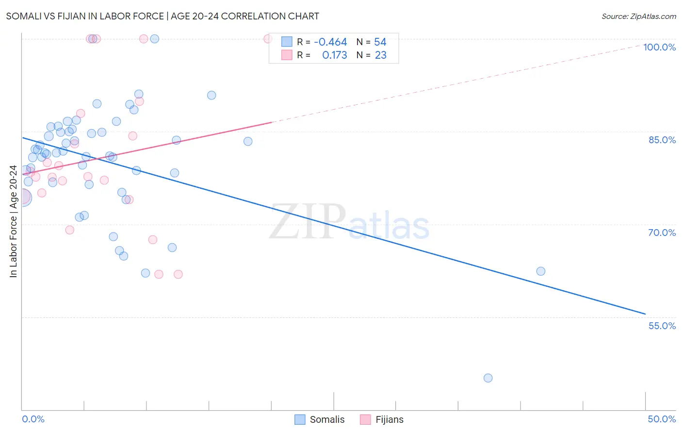 Somali vs Fijian In Labor Force | Age 20-24