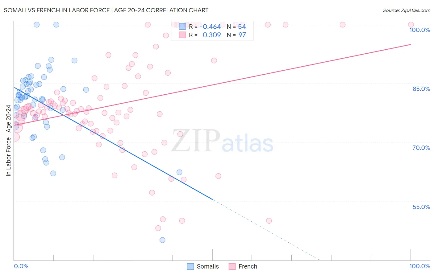 Somali vs French In Labor Force | Age 20-24