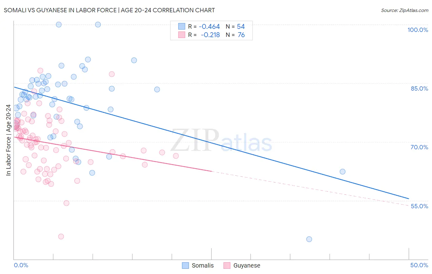 Somali vs Guyanese In Labor Force | Age 20-24