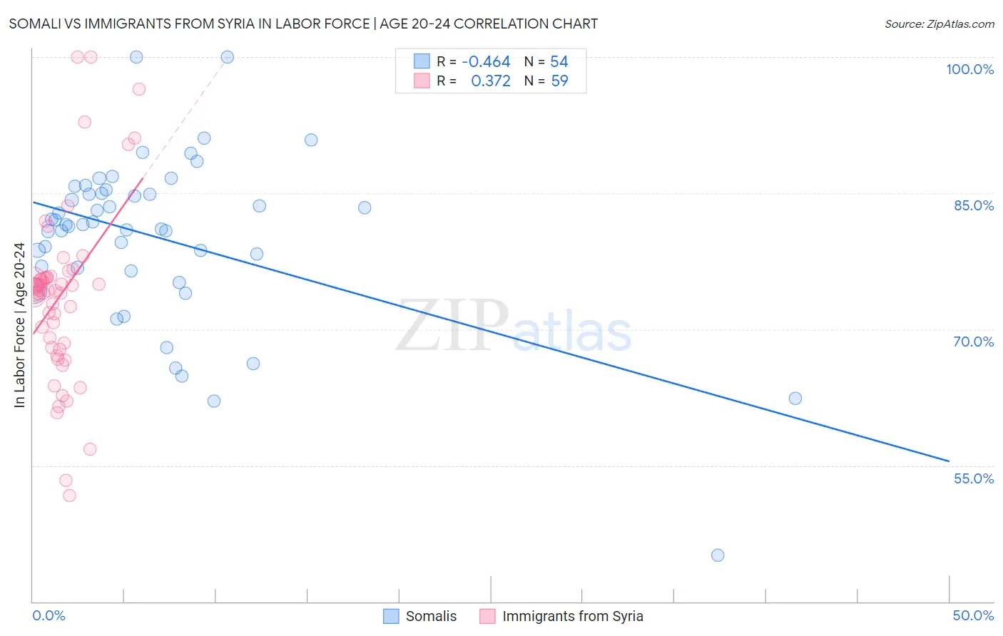 Somali vs Immigrants from Syria In Labor Force | Age 20-24