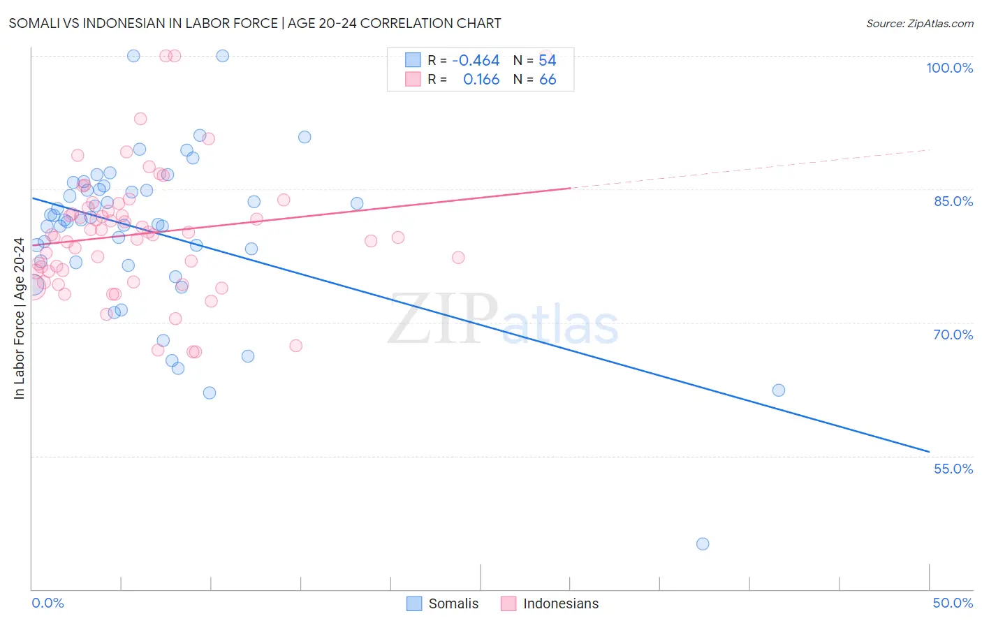 Somali vs Indonesian In Labor Force | Age 20-24