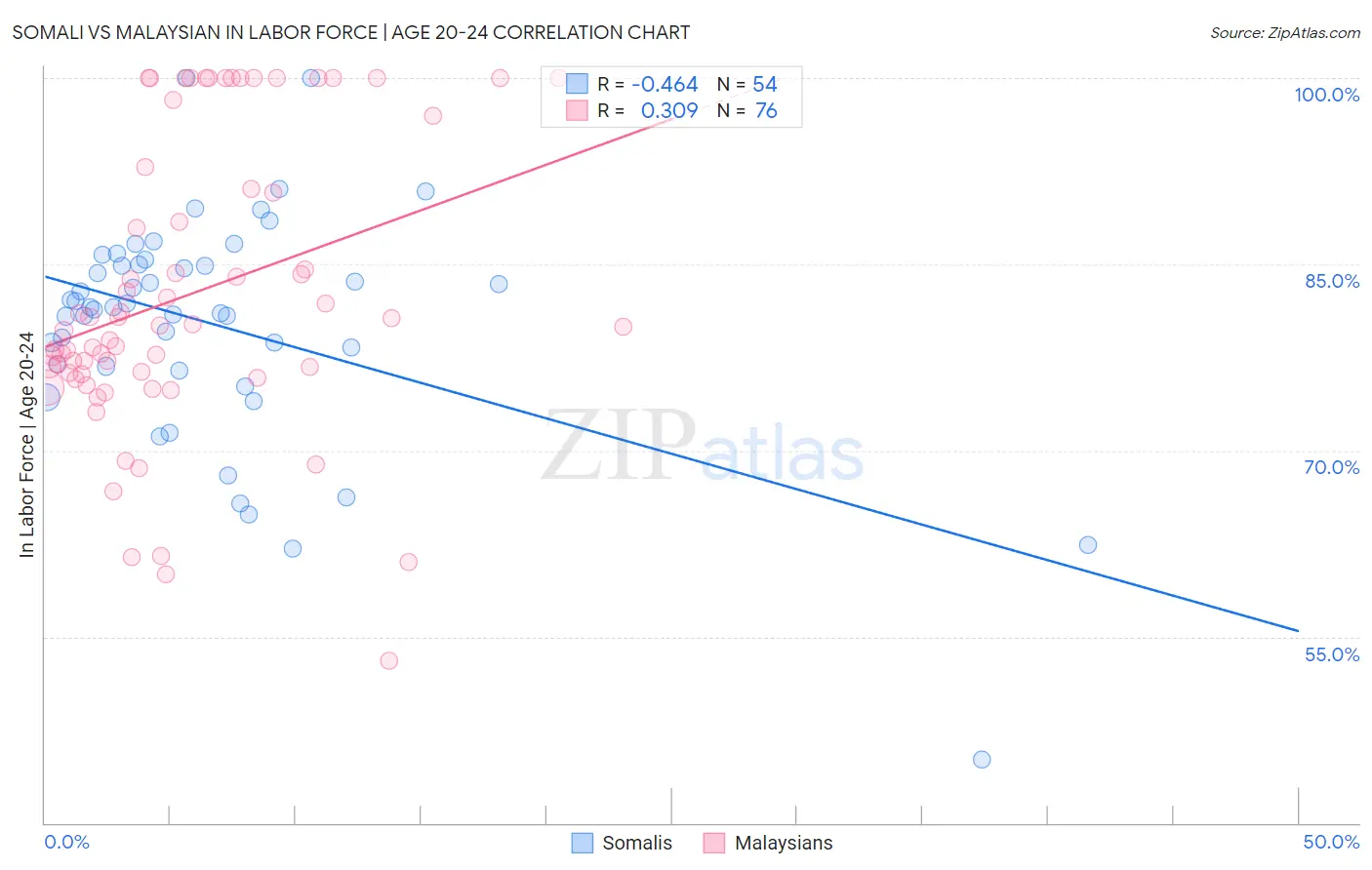 Somali vs Malaysian In Labor Force | Age 20-24