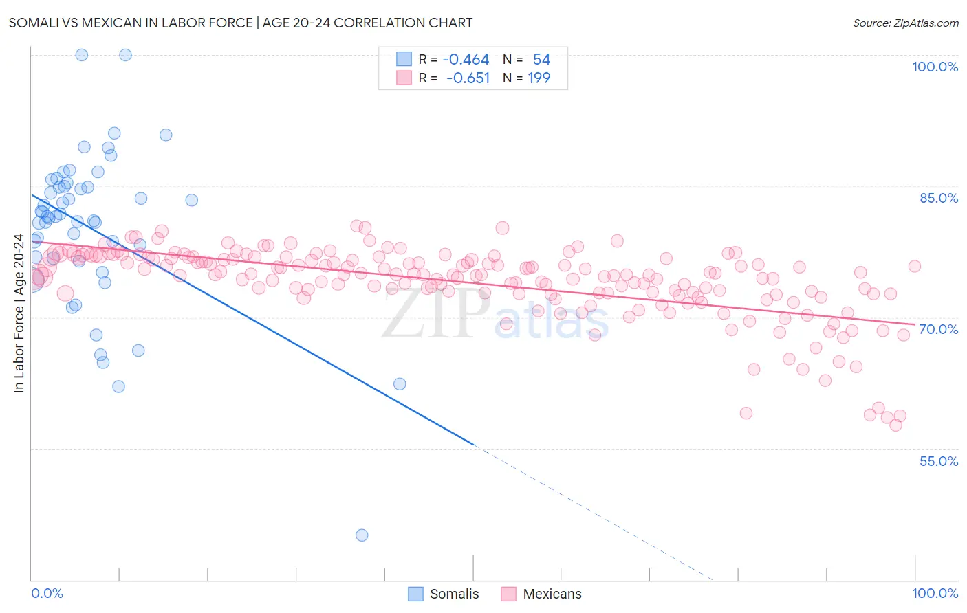 Somali vs Mexican In Labor Force | Age 20-24