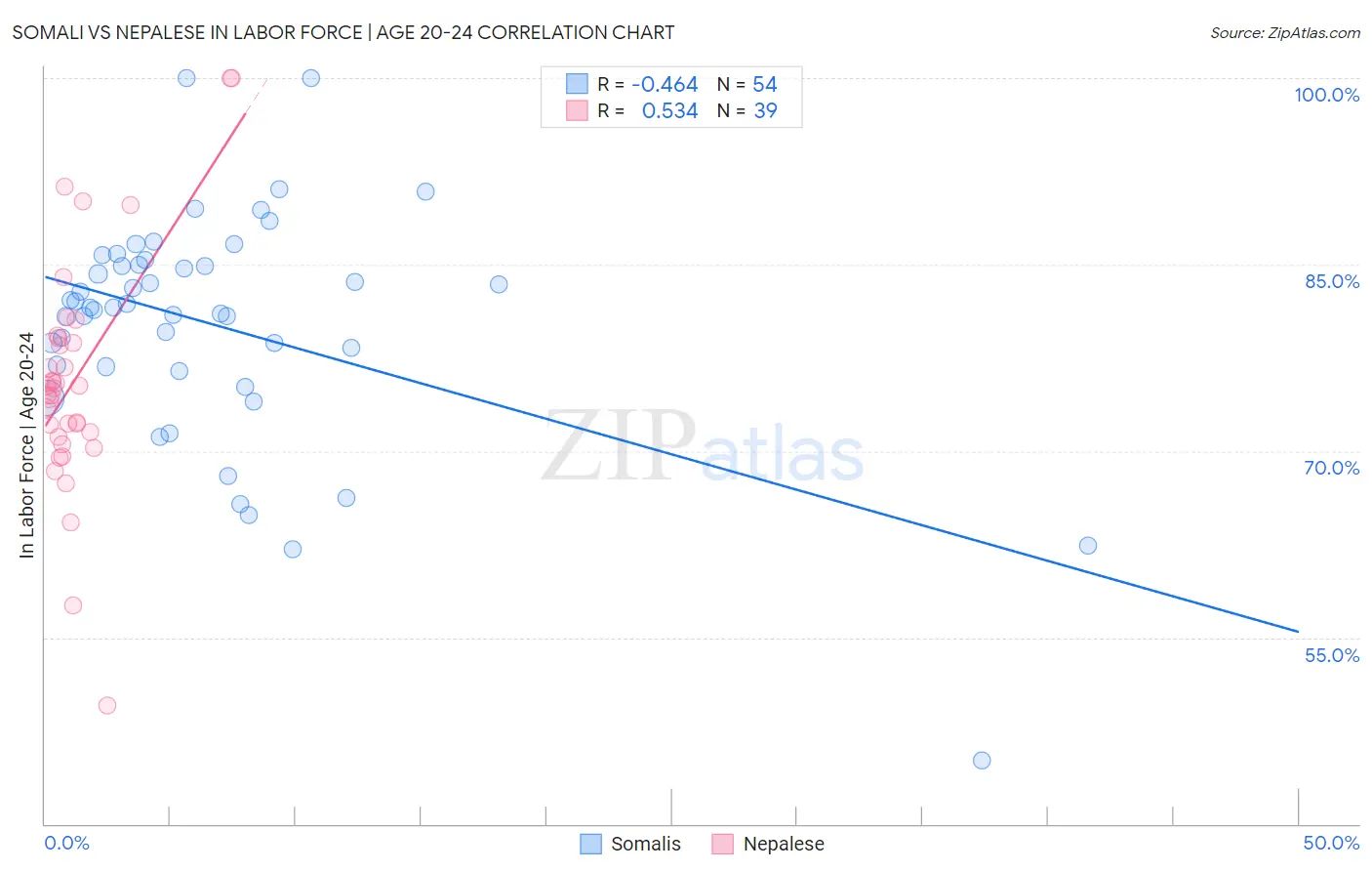 Somali vs Nepalese In Labor Force | Age 20-24