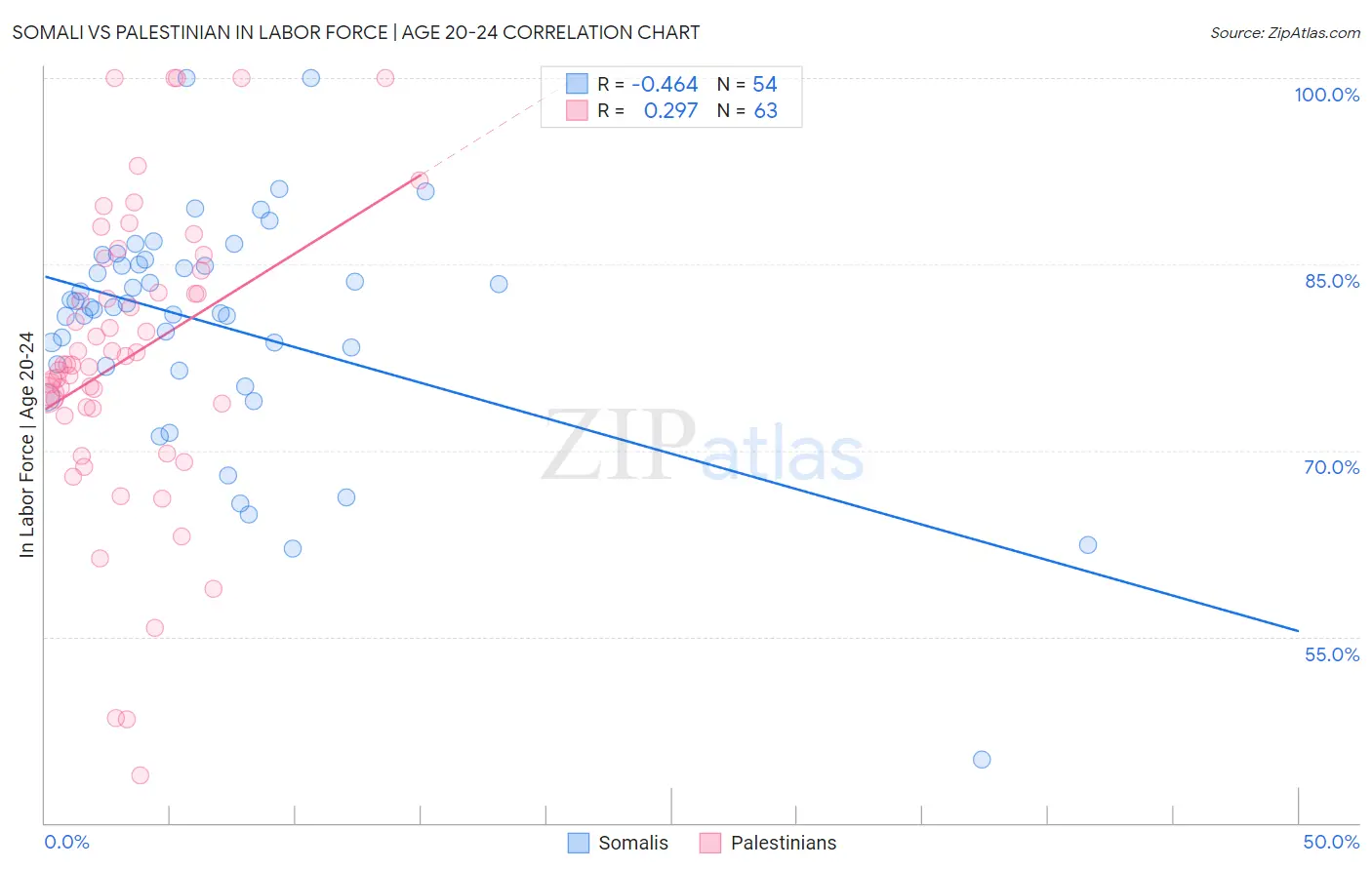 Somali vs Palestinian In Labor Force | Age 20-24