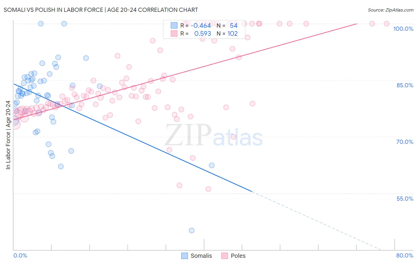 Somali vs Polish In Labor Force | Age 20-24