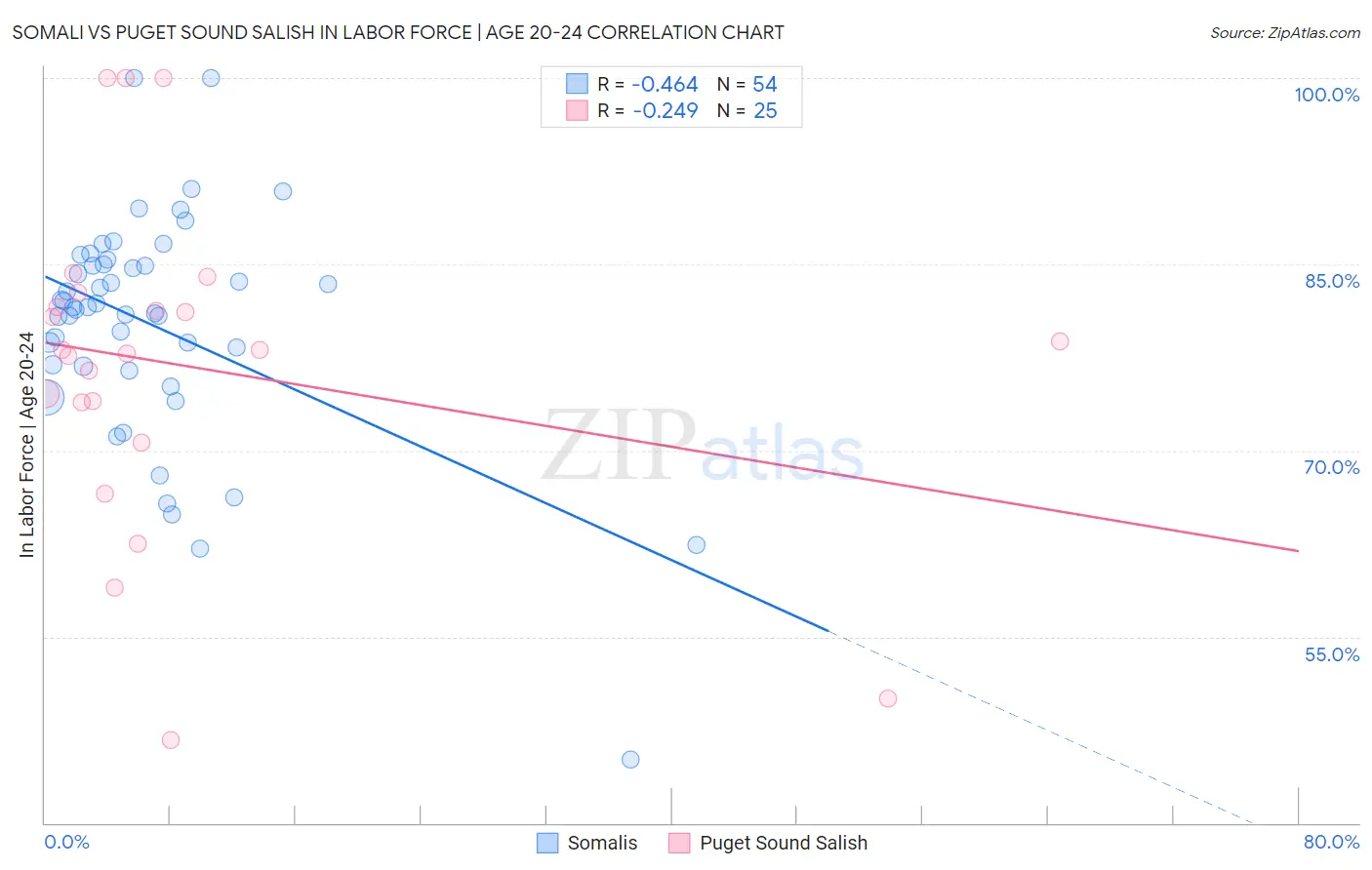 Somali vs Puget Sound Salish In Labor Force | Age 20-24