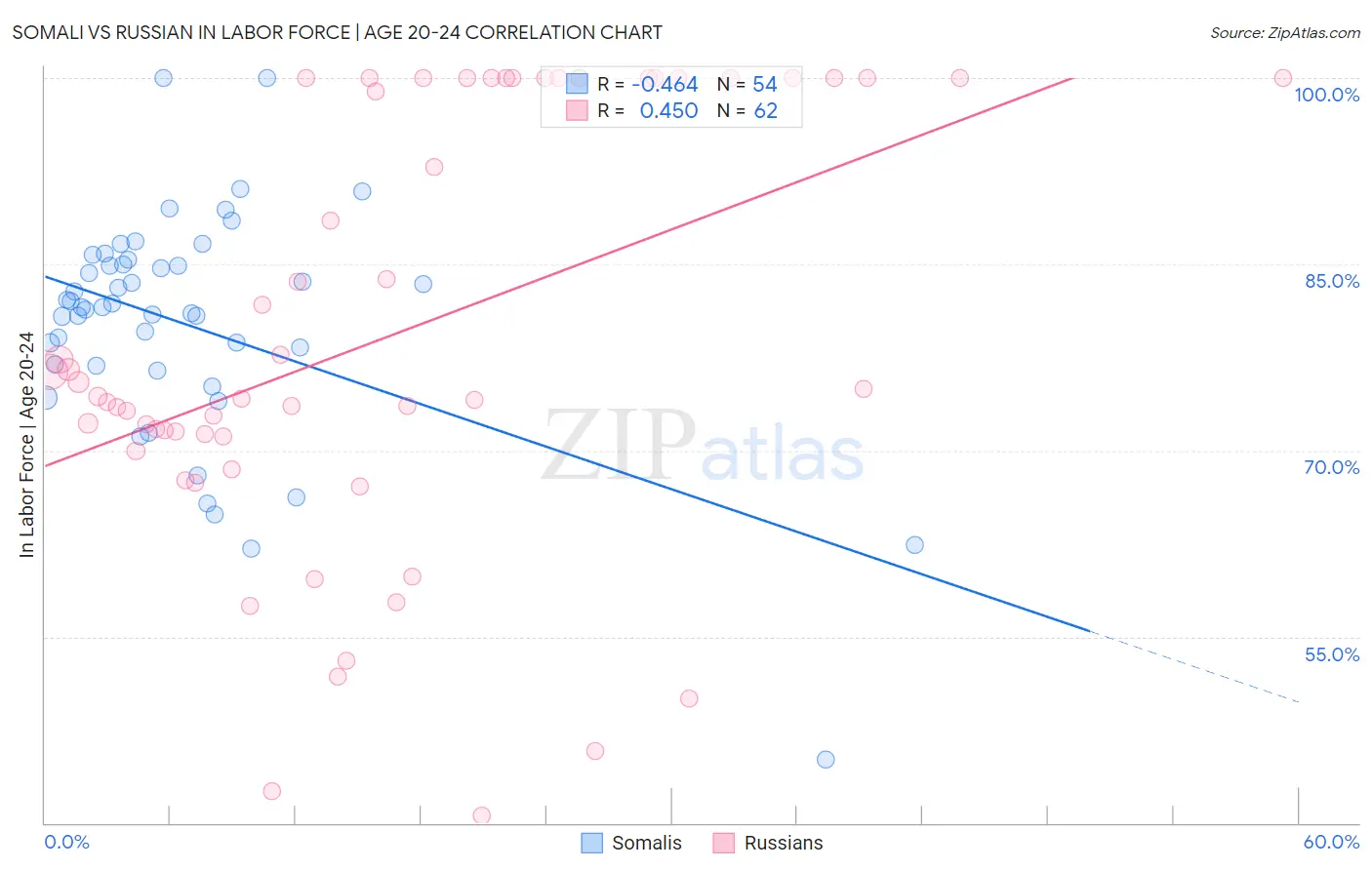 Somali vs Russian In Labor Force | Age 20-24