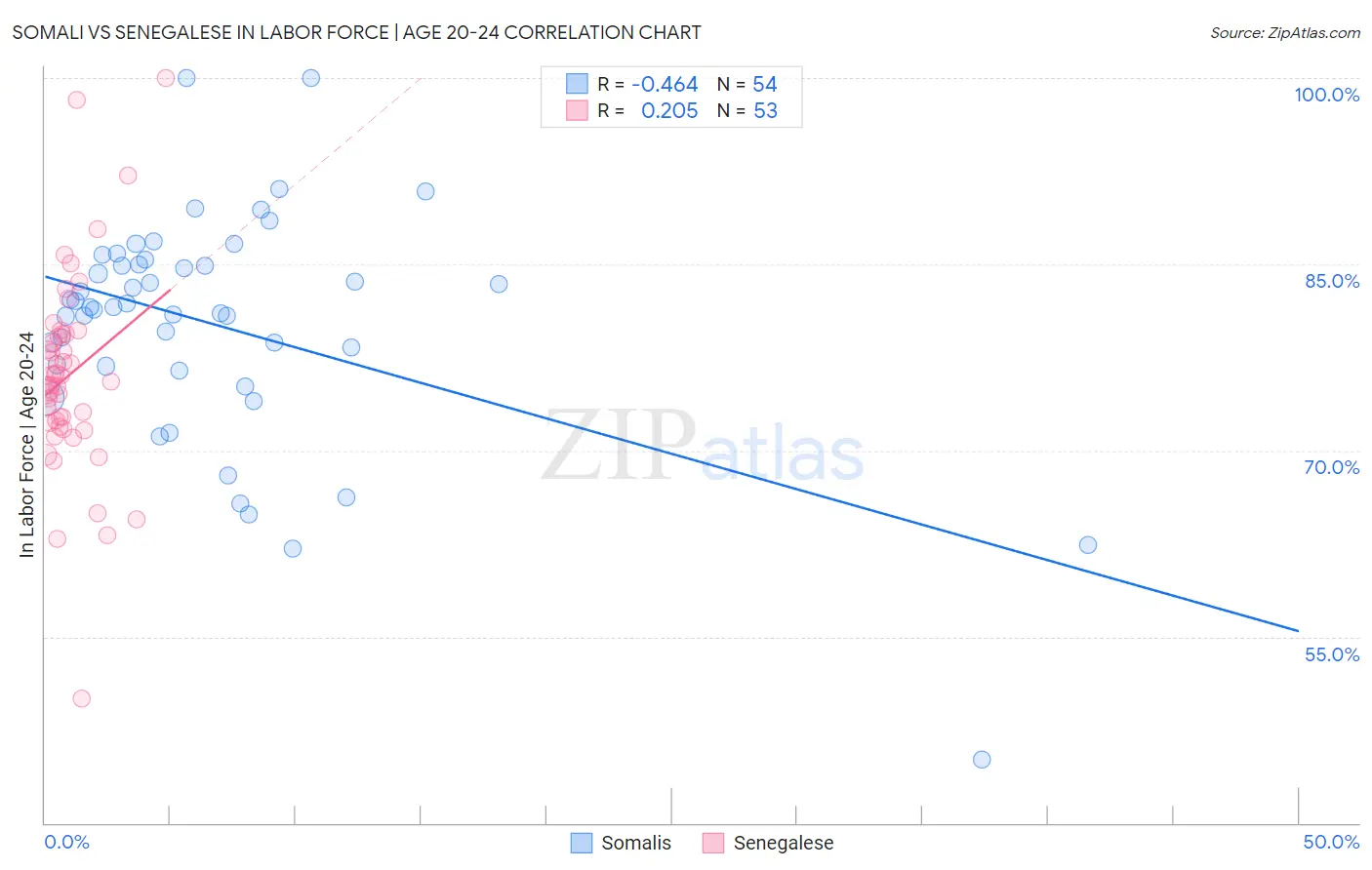 Somali vs Senegalese In Labor Force | Age 20-24