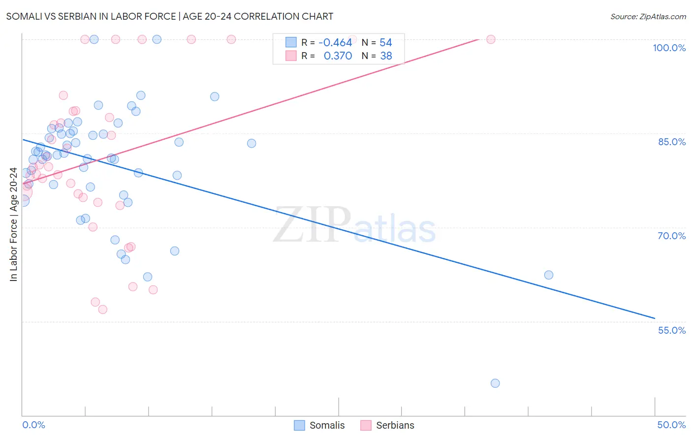Somali vs Serbian In Labor Force | Age 20-24