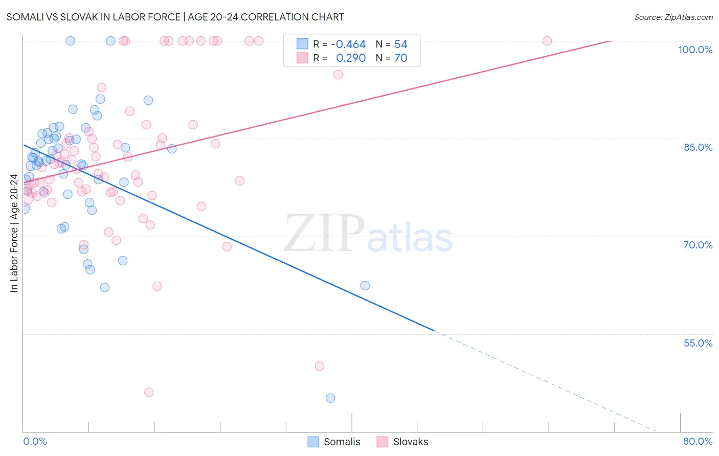 Somali vs Slovak In Labor Force | Age 20-24