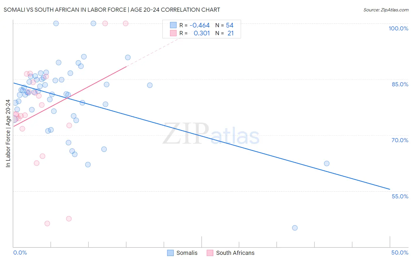 Somali vs South African In Labor Force | Age 20-24