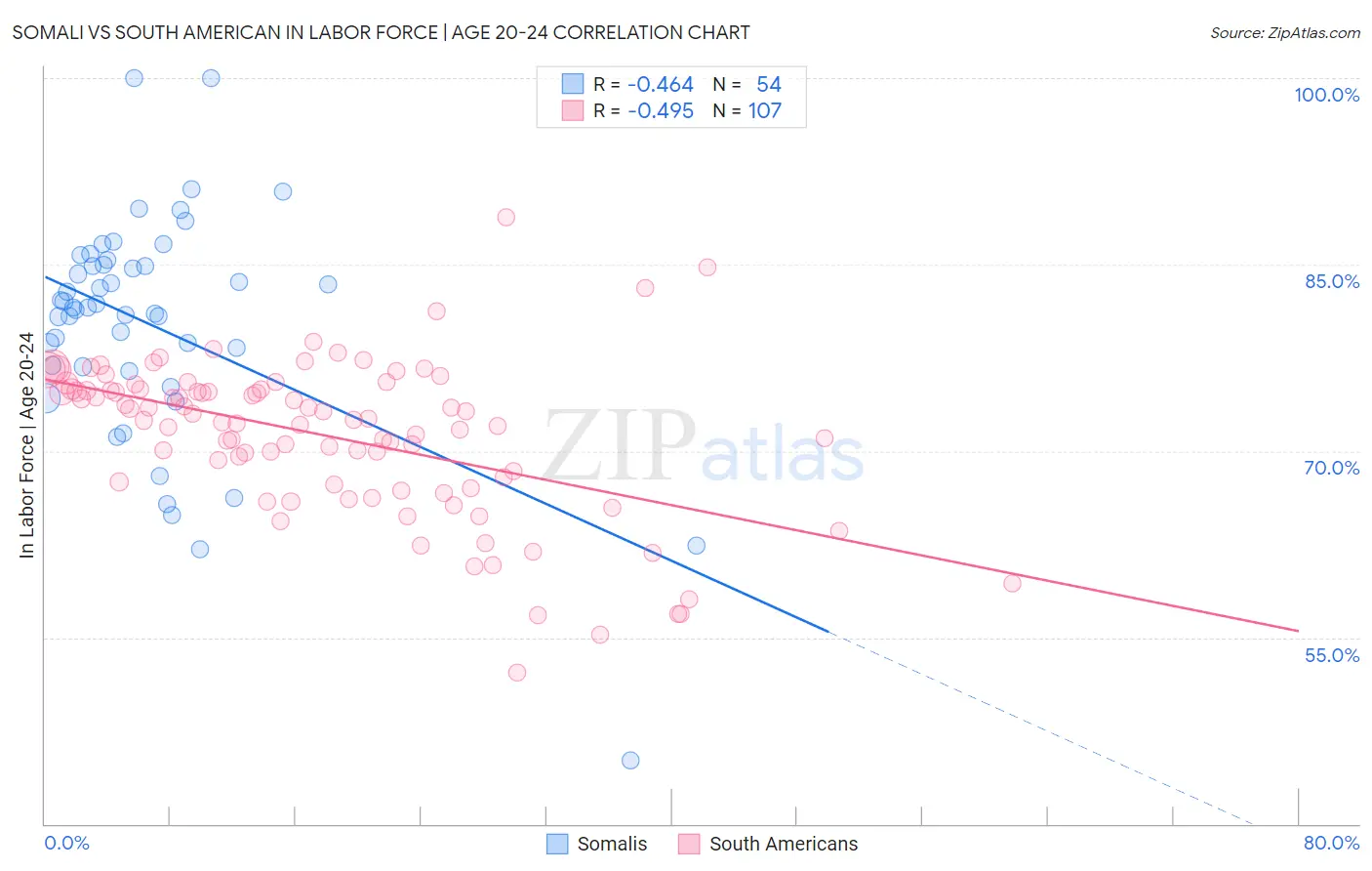 Somali vs South American In Labor Force | Age 20-24