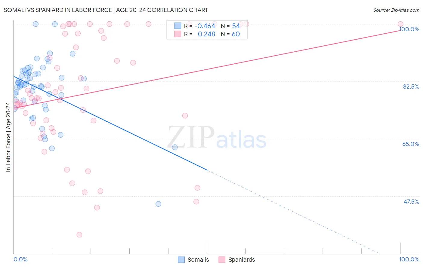 Somali vs Spaniard In Labor Force | Age 20-24