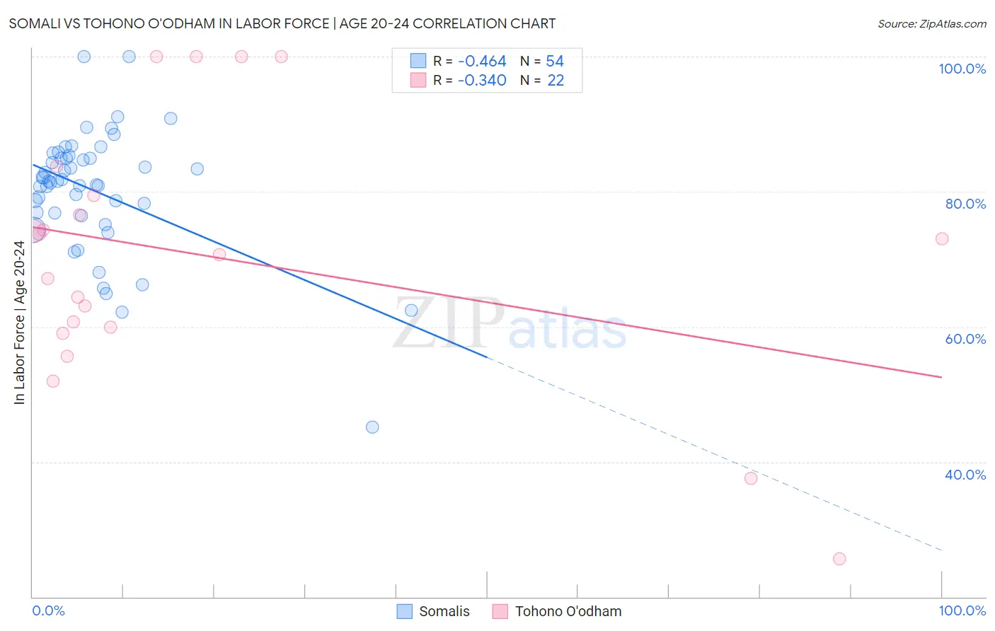 Somali vs Tohono O'odham In Labor Force | Age 20-24