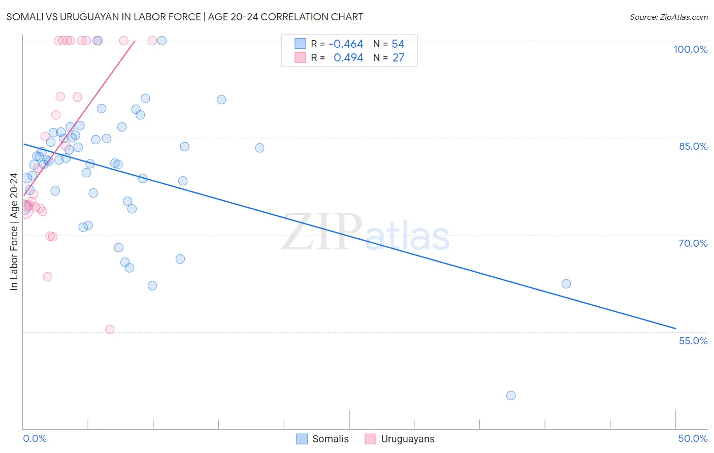 Somali vs Uruguayan In Labor Force | Age 20-24