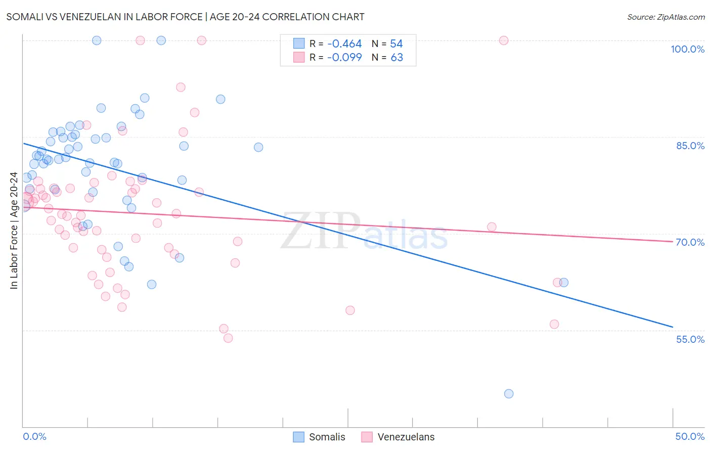 Somali vs Venezuelan In Labor Force | Age 20-24