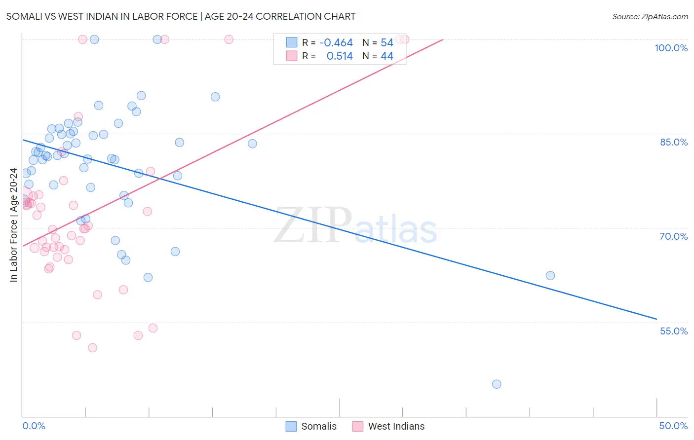 Somali vs West Indian In Labor Force | Age 20-24