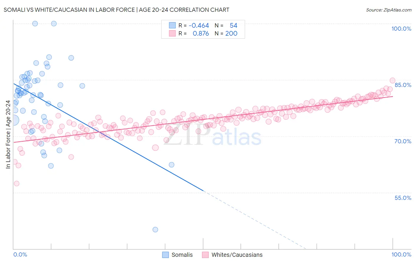 Somali vs White/Caucasian In Labor Force | Age 20-24